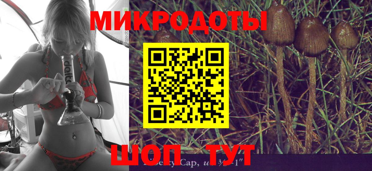 Псилоцибиновые грибы GOLDEN TEACHER Красноперекопск